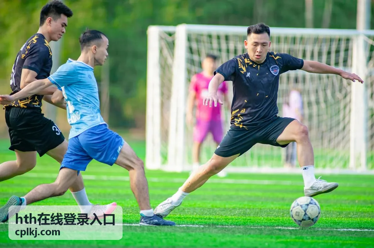 中小型团队使用hth在线登录入口的轻量实例